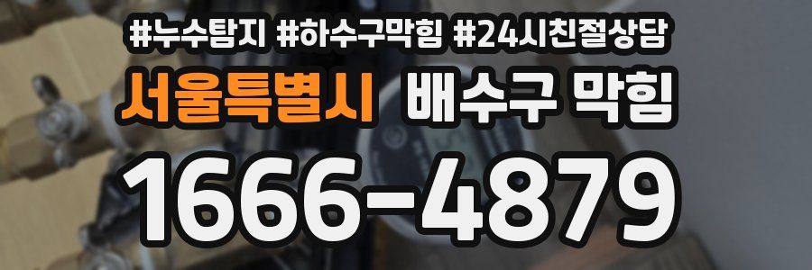 서울특별시 배수구 막힘