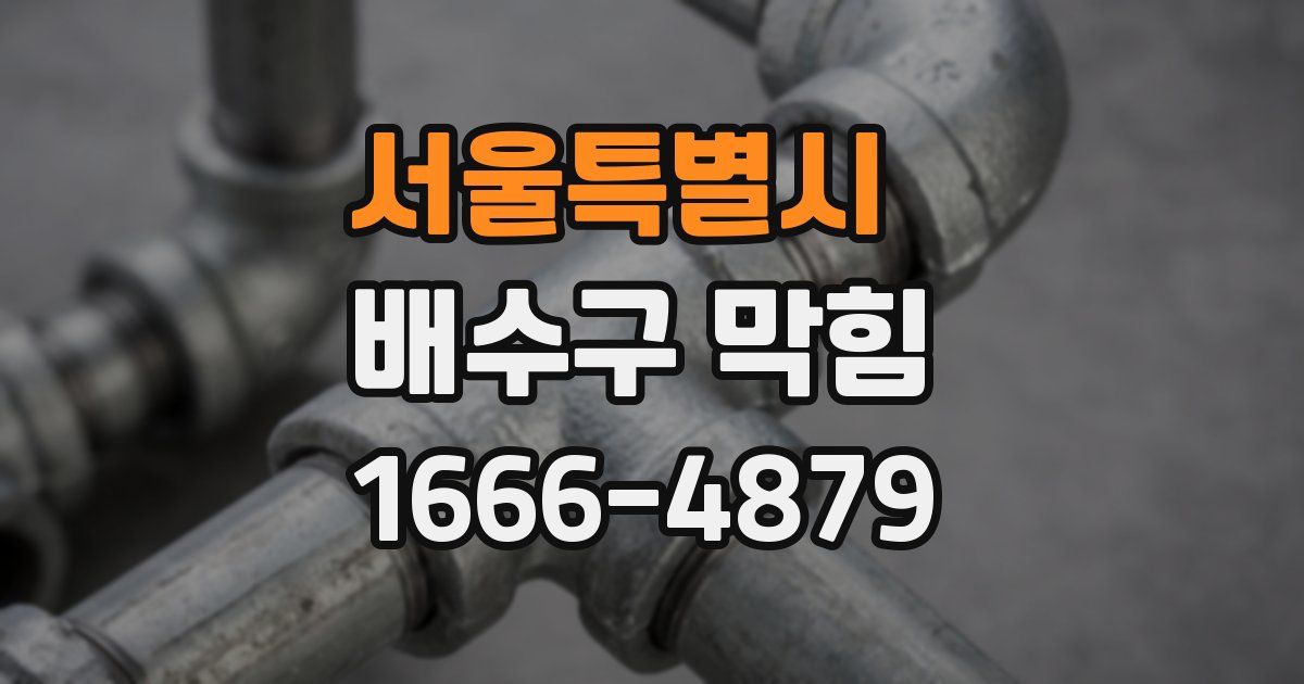 서울특별시 배수구 막힘