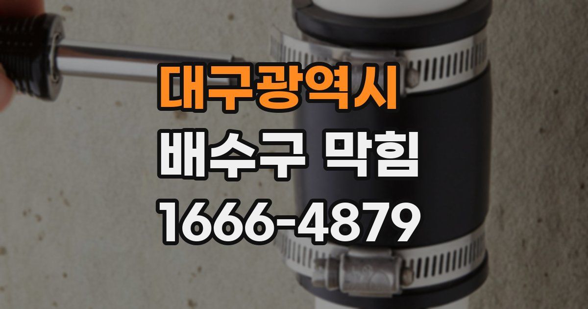 대구광역시 배수구 막힘