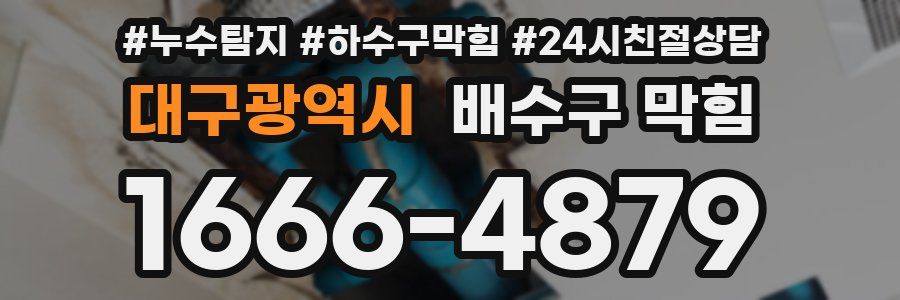 대구광역시 배수구 막힘