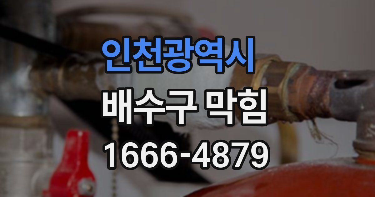 인천광역시 배수구 막힘