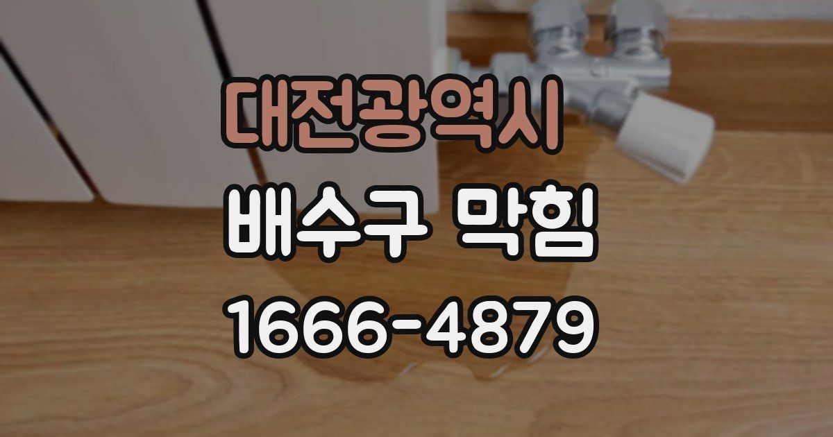 대전광역시 배수구 막힘