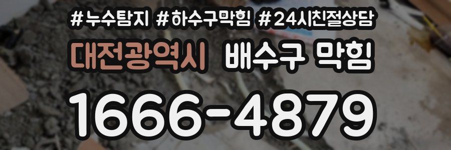 대전광역시 배수구 막힘