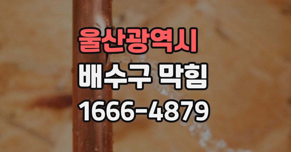 울산광역시 배수구 막힘