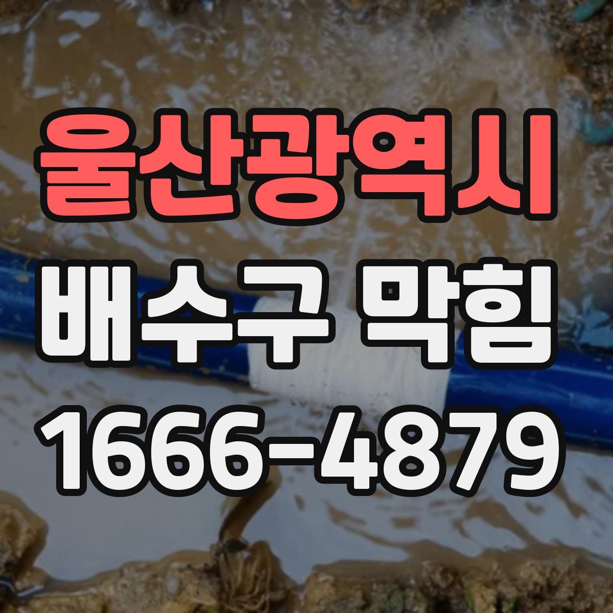 울산광역시 배수구 막힘