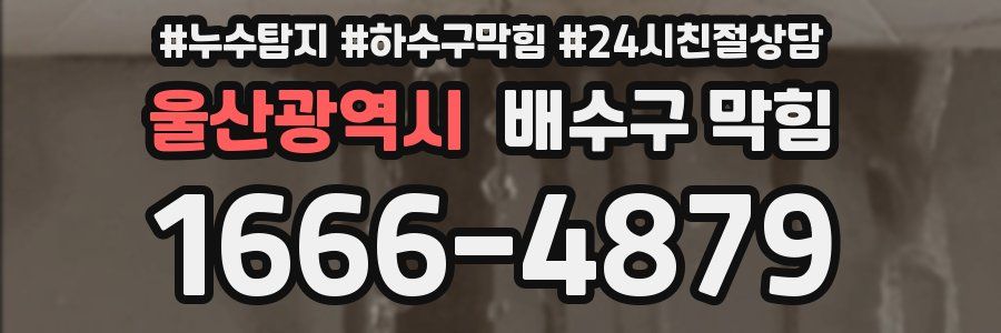 울산광역시 배수구 막힘