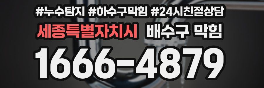 세종특별자치시 배수구 막힘