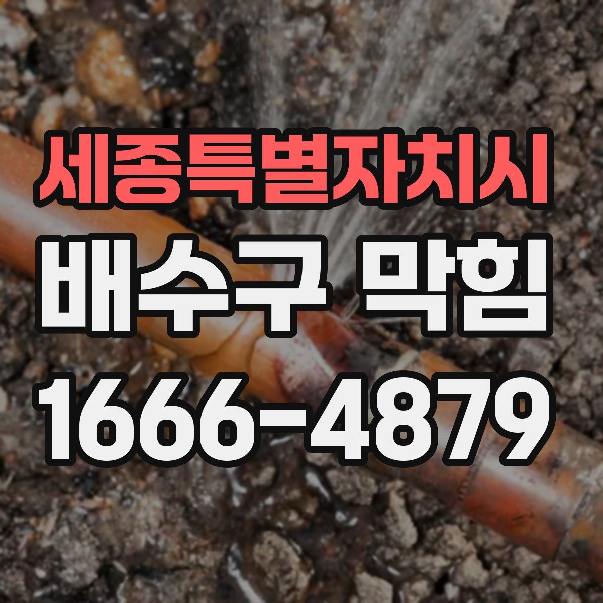 세종특별자치시 배수구 막힘