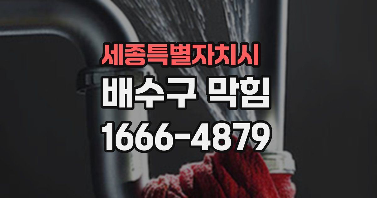 세종특별자치시 배수구 막힘