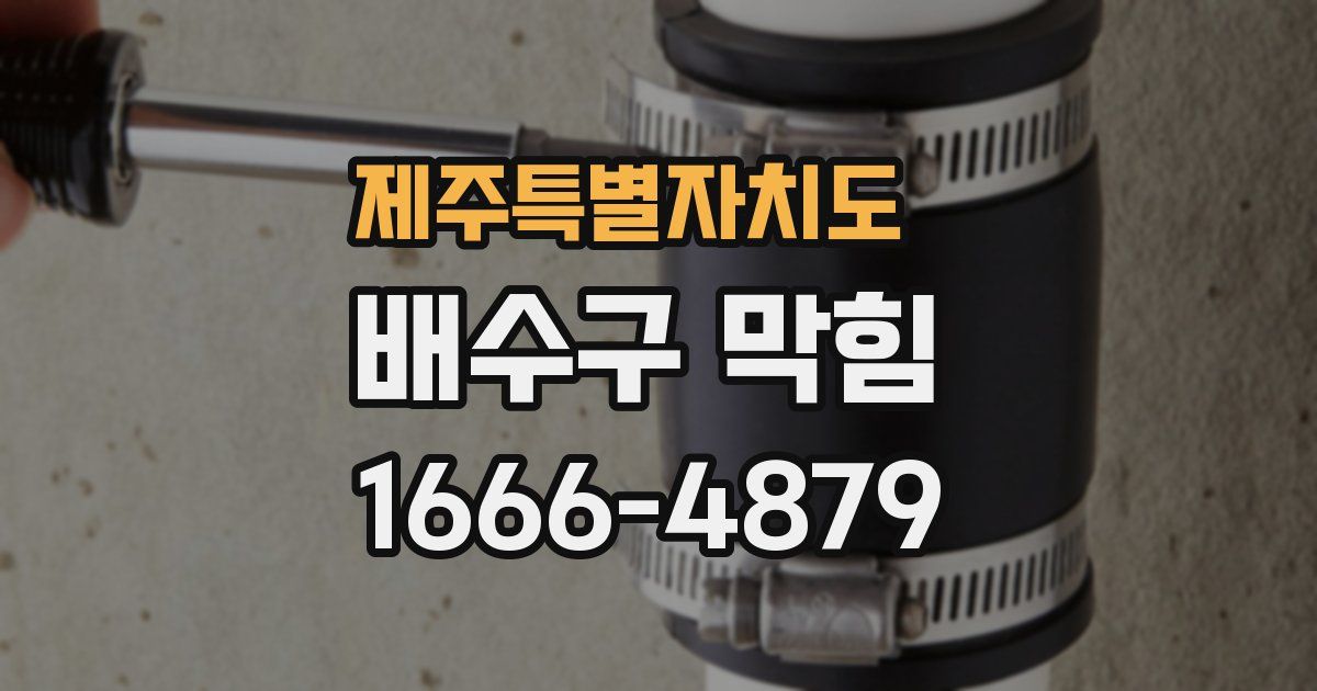 제주특별자치도 배수구 막힘