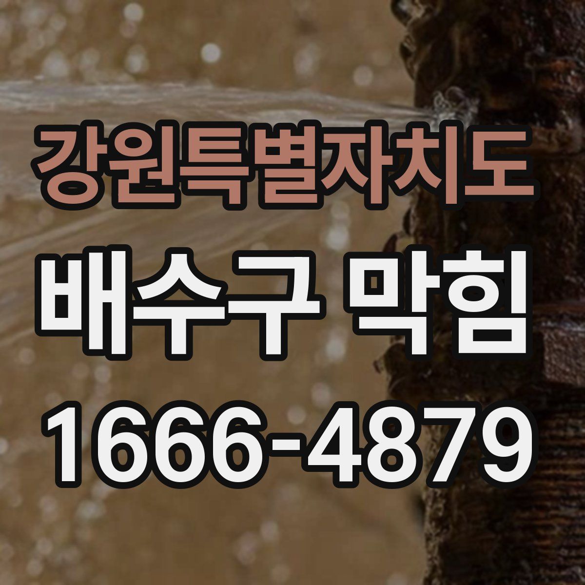 강원특별자치도 배수구 막힘