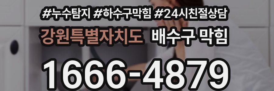 강원특별자치도 배수구 막힘