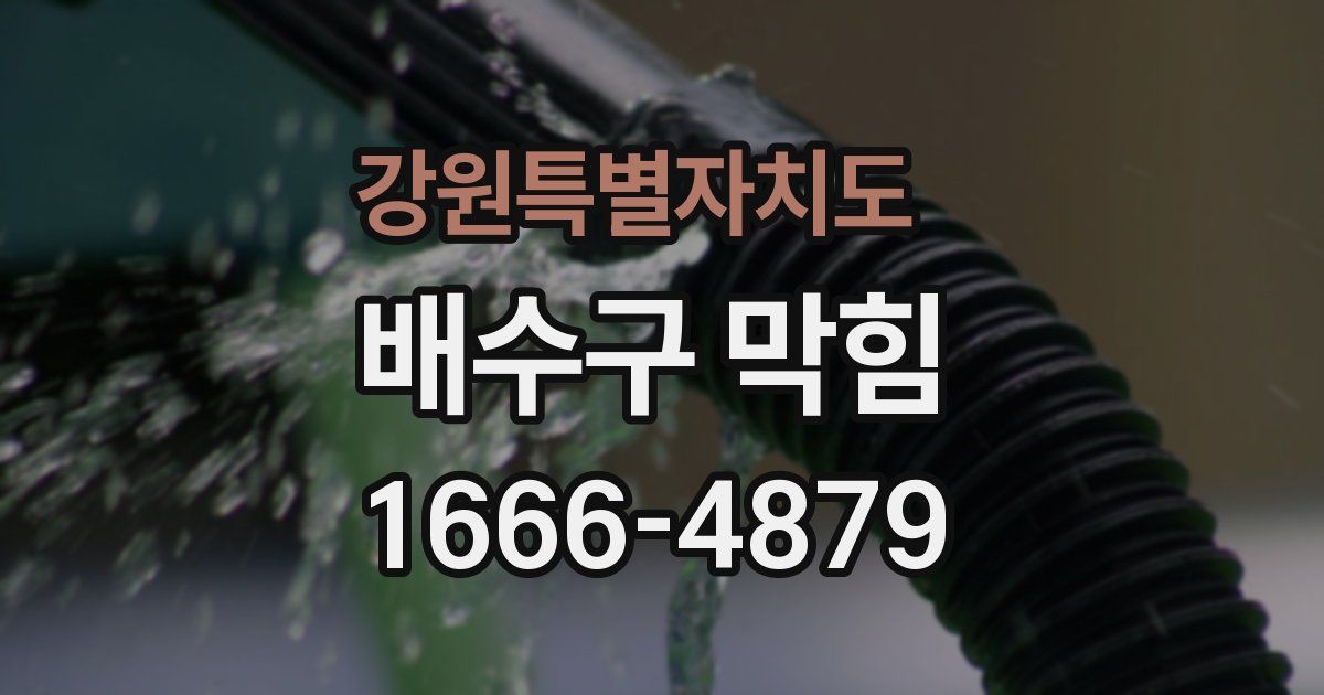 강원특별자치도 배수구 막힘