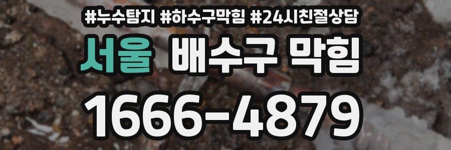 서울 배수구 막힘