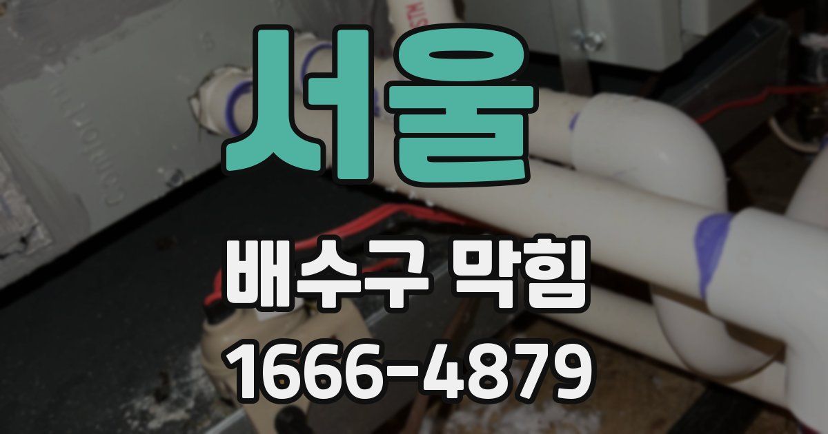 서울 배수구 막힘