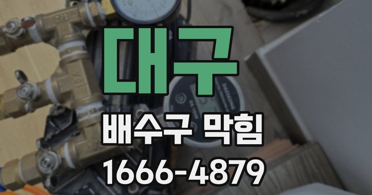 대구 배수구 막힘