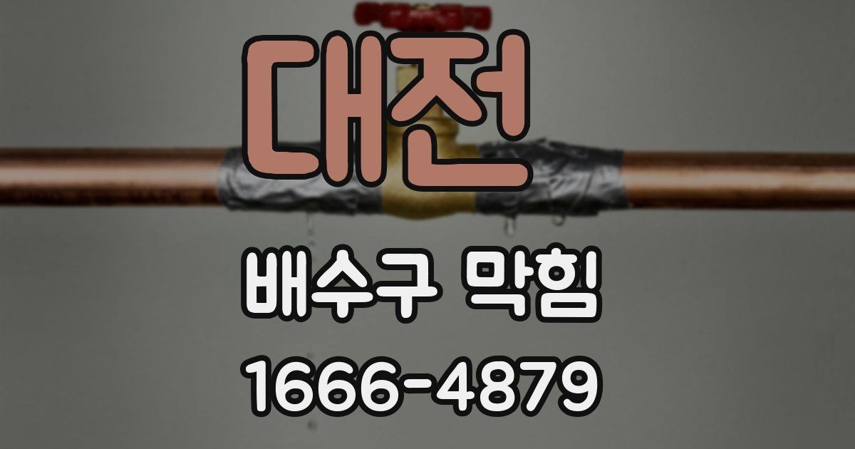 대전 배수구 막힘