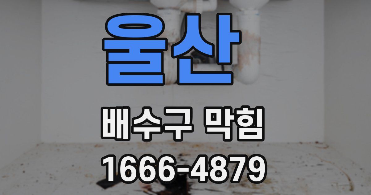 울산 배수구 막힘