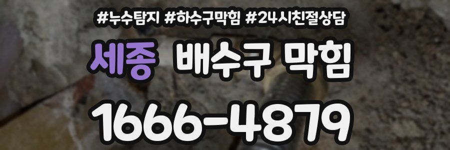세종 배수구 막힘