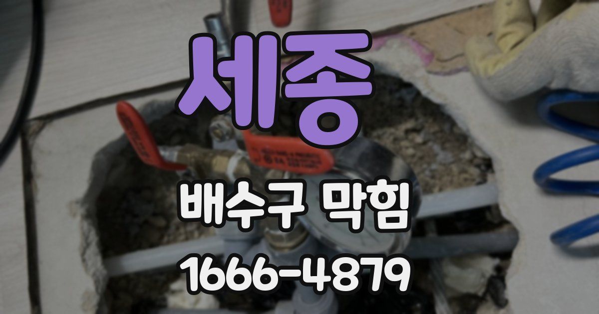 세종 배수구 막힘