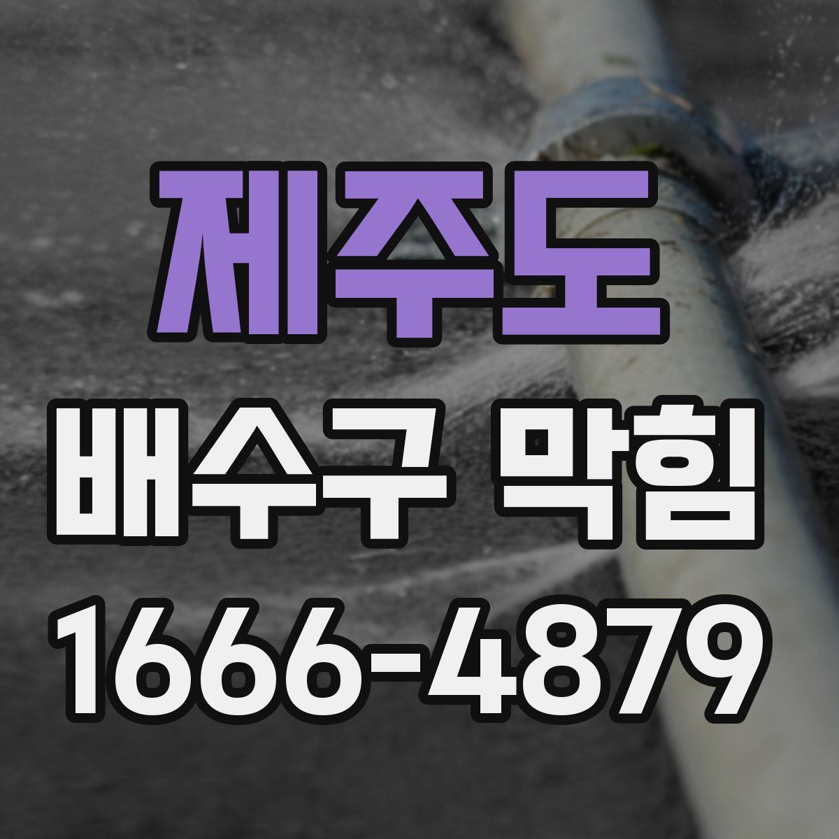 제주도 배수구 막힘