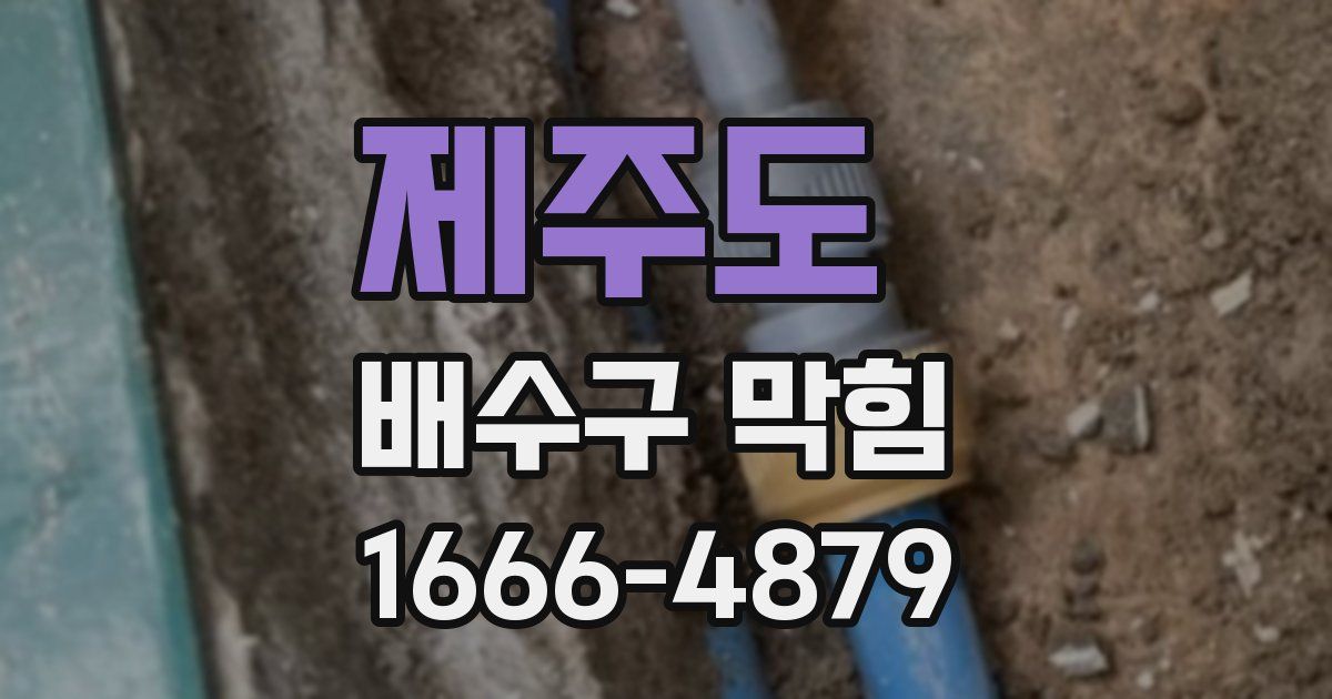 제주도 배수구 막힘