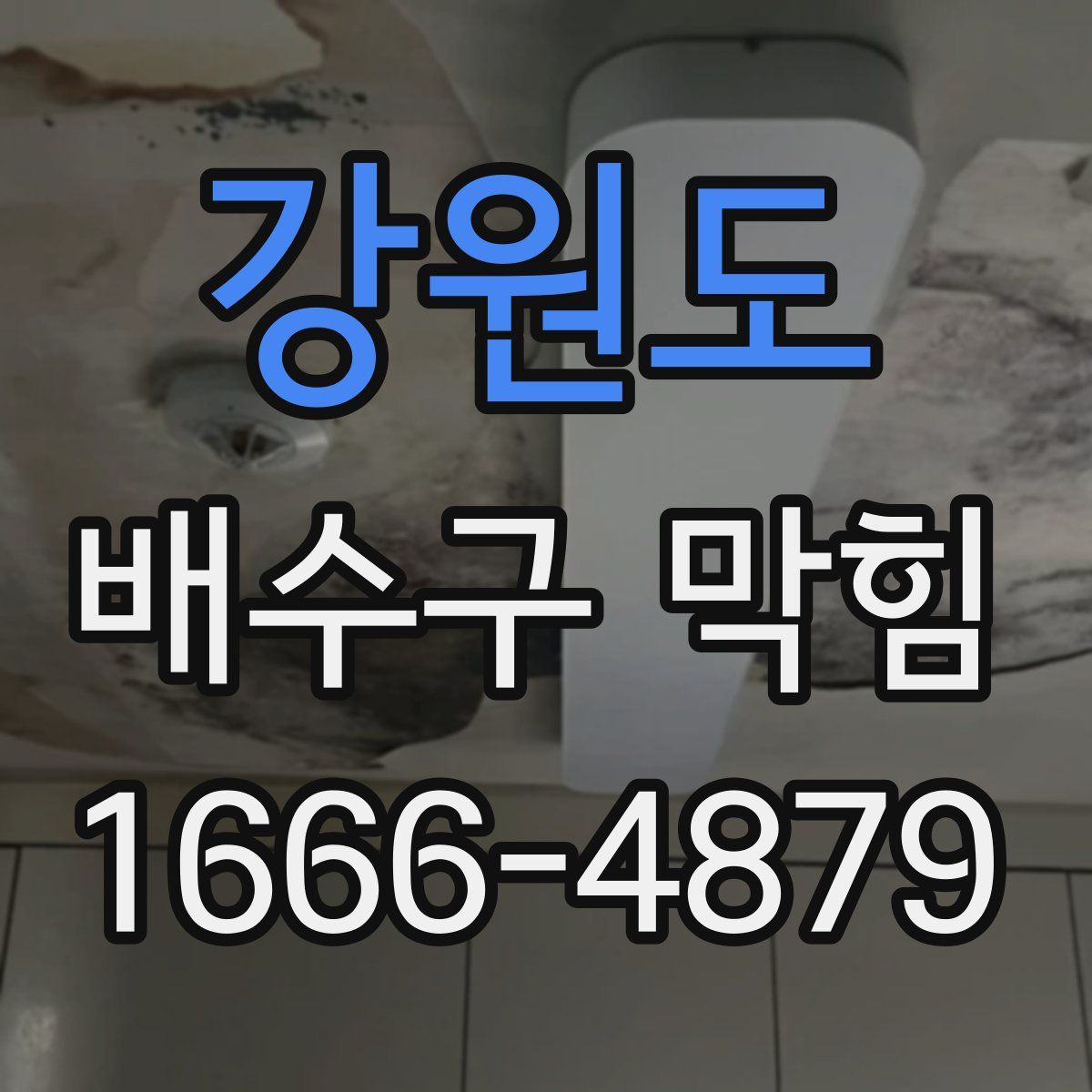 강원도 배수구 막힘