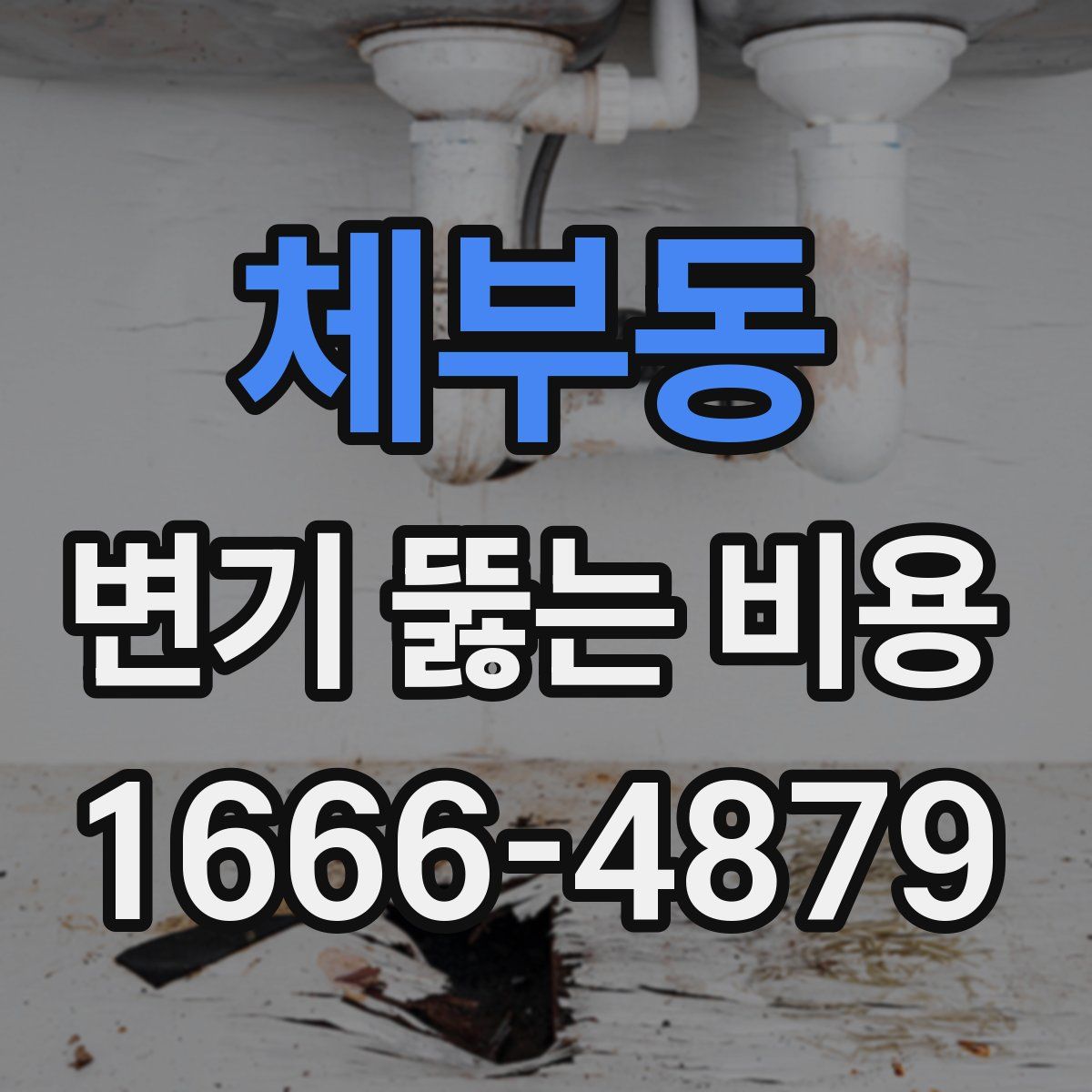 체부동 변기 뚫는 비용