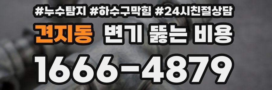 견지동 변기 뚫는 비용