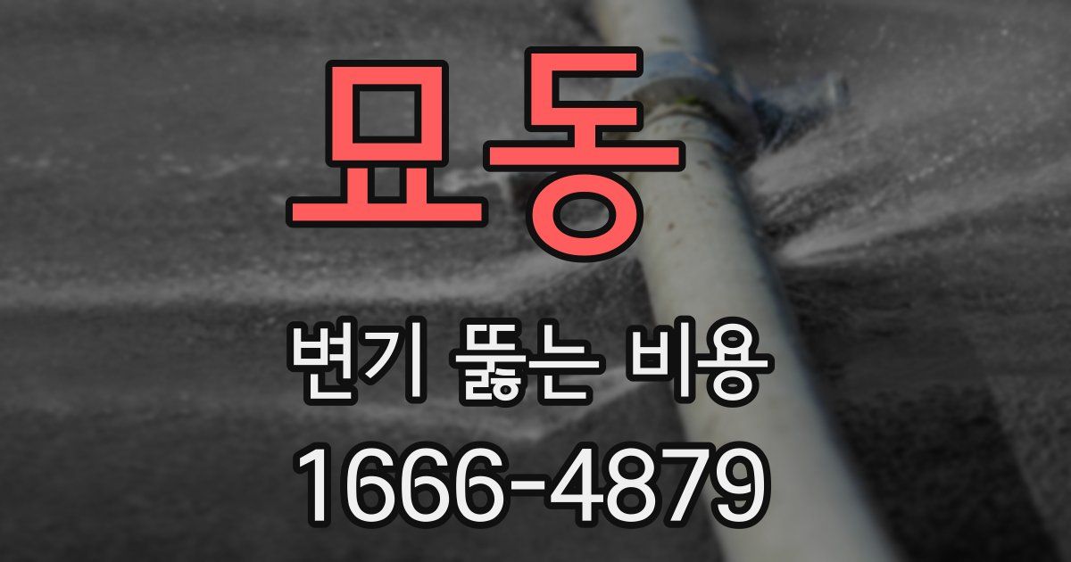 묘동 변기 뚫는 비용