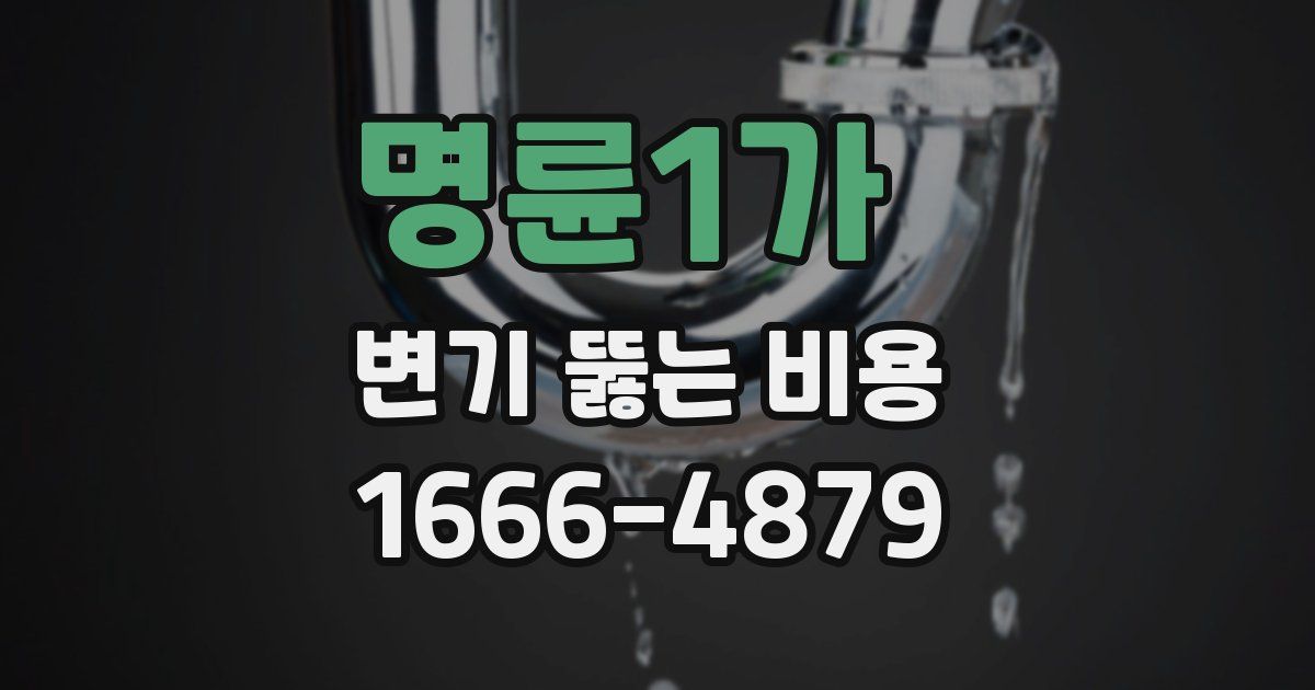 명륜1가 변기 뚫는 비용