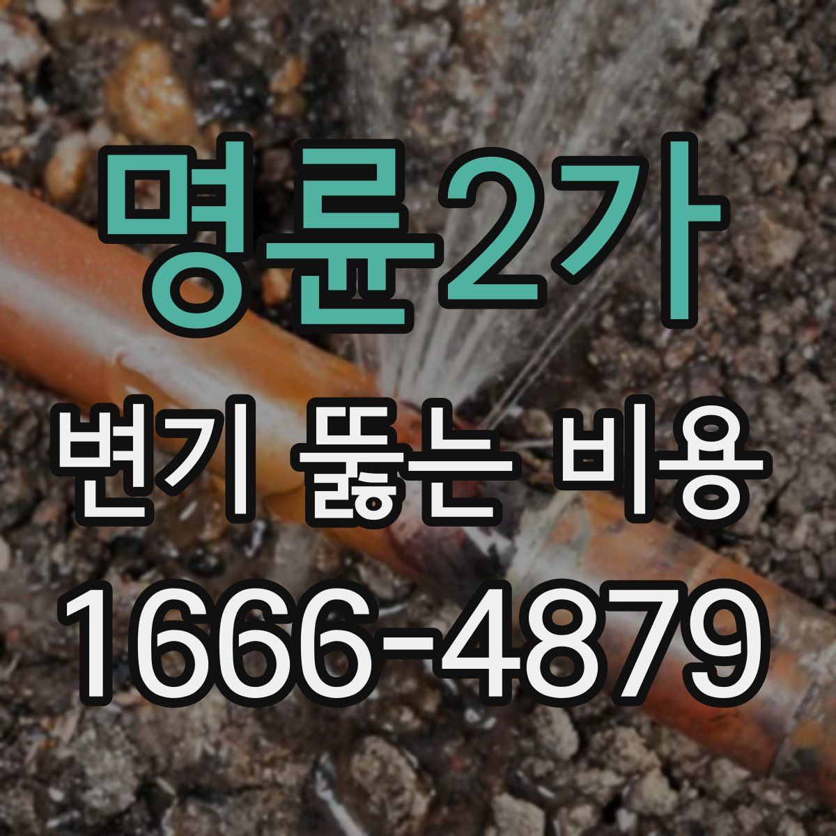 명륜2가 변기 뚫는 비용