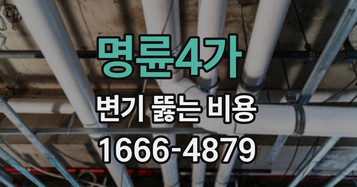 명륜4가 변기 뚫는 비용