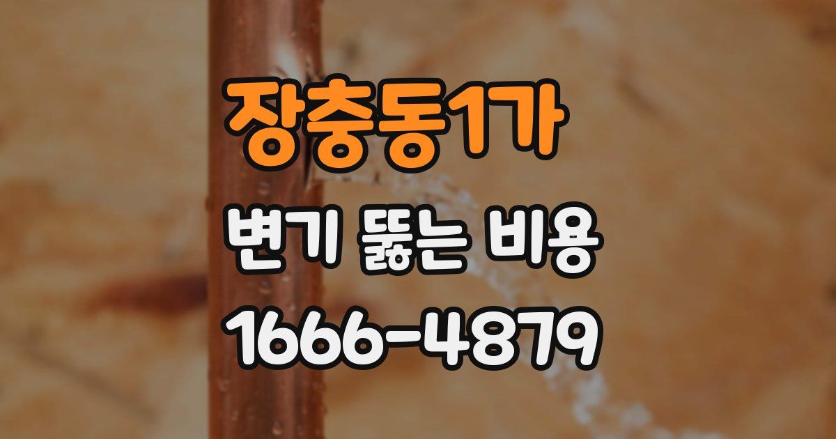 장충동1가 변기 뚫는 비용