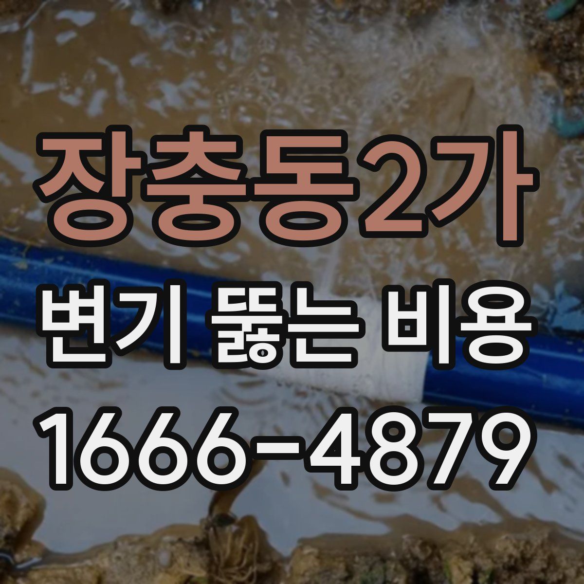장충동2가 변기 뚫는 비용