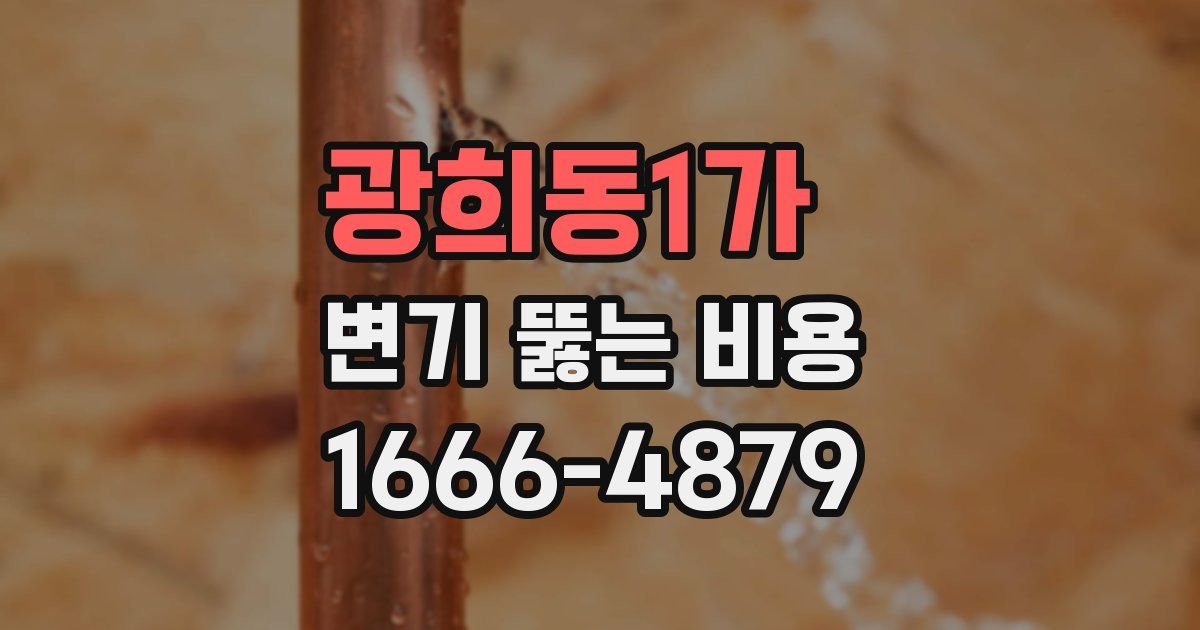 광희동1가 변기 뚫는 비용