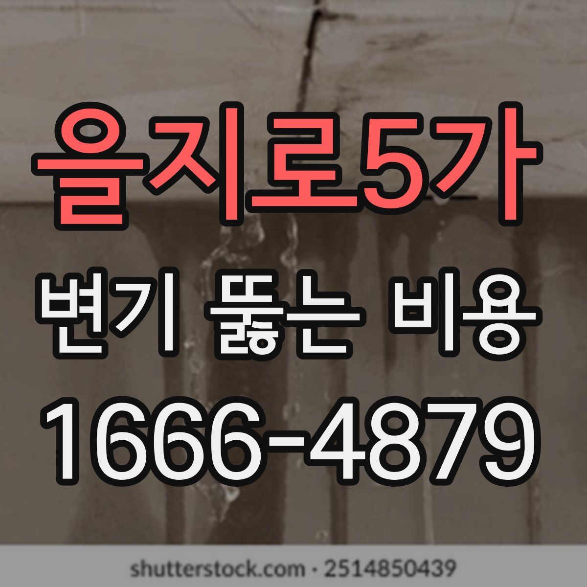 을지로5가 변기 뚫는 비용