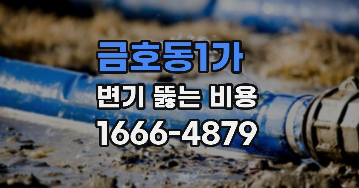금호동1가 변기 뚫는 비용