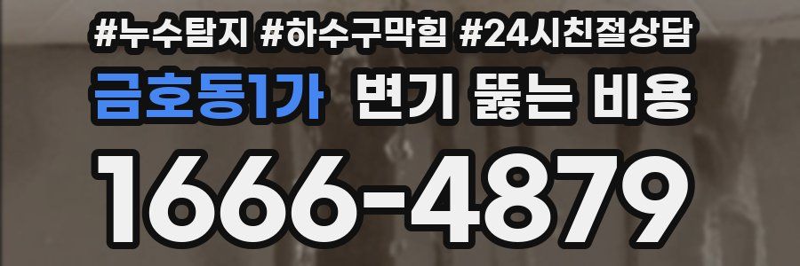 금호동1가 변기 뚫는 비용
