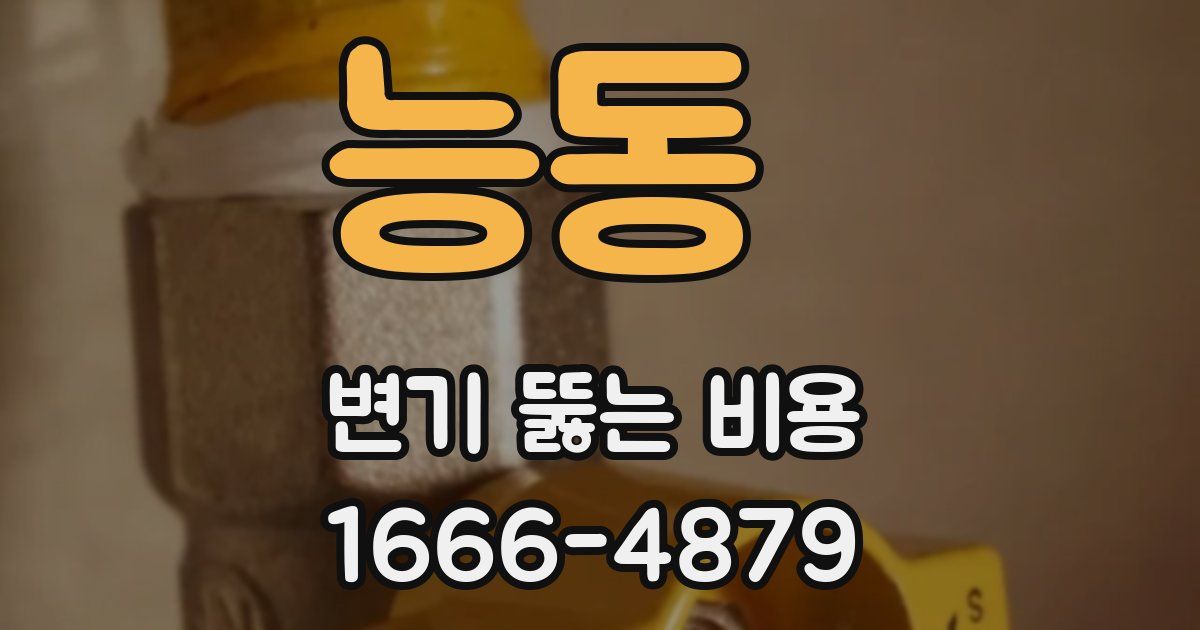 능동 변기 뚫는 비용