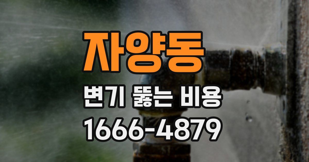 자양동 변기 뚫는 비용