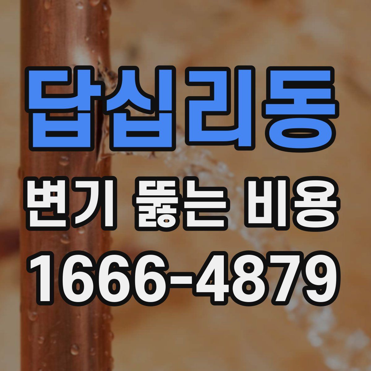 답십리동 변기 뚫는 비용