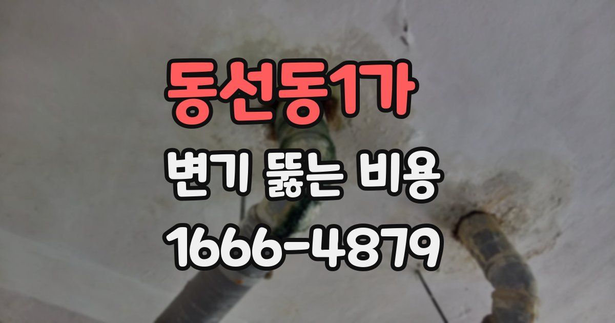 동선동1가 변기 뚫는 비용