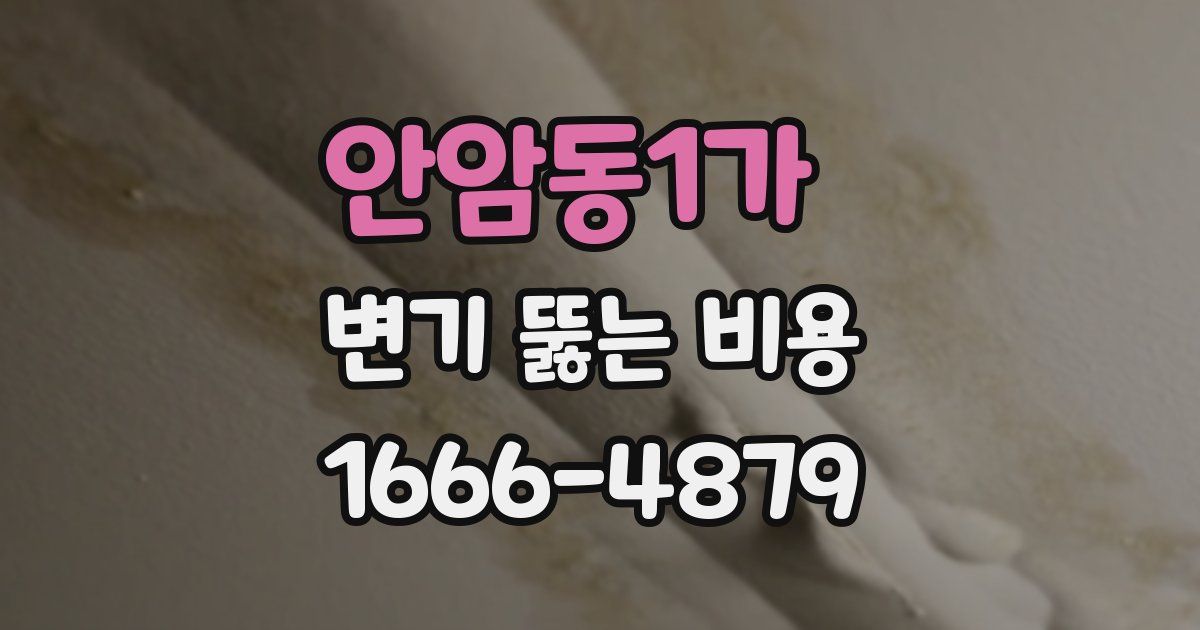 안암동1가 변기 뚫는 비용