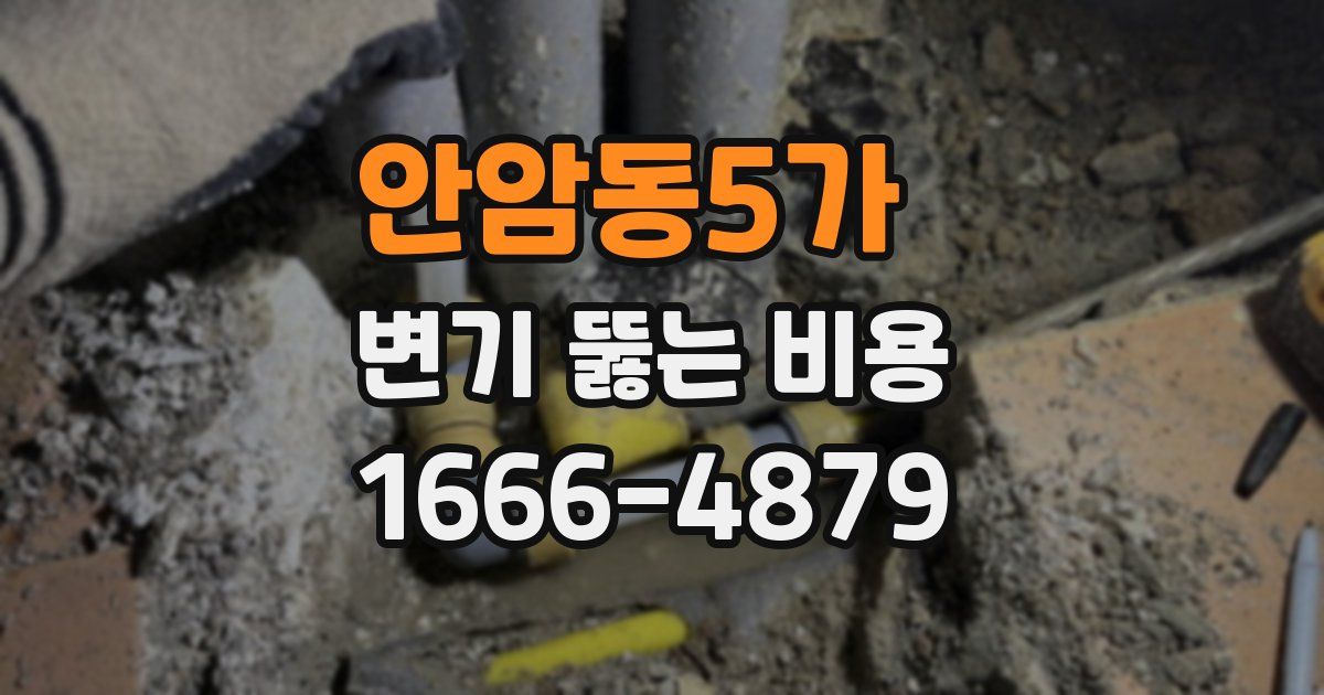 안암동5가 변기 뚫는 비용