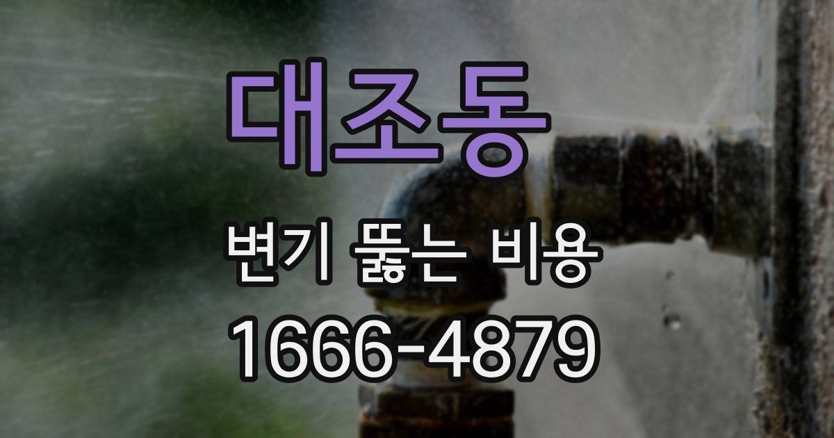 대조동 변기 뚫는 비용