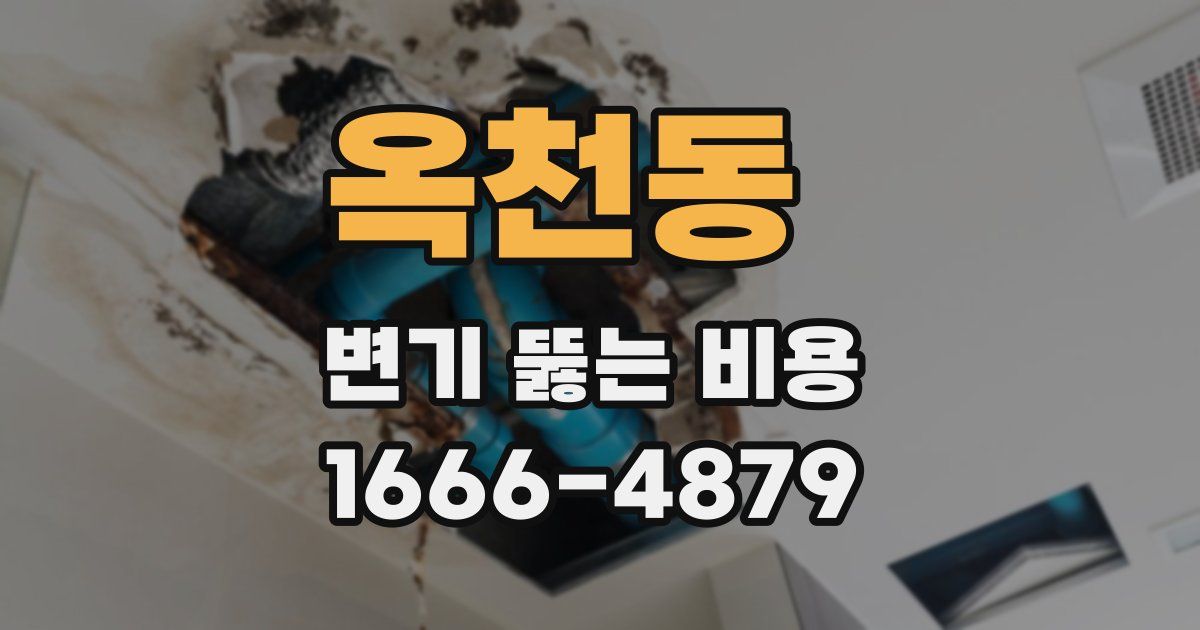 옥천동 변기 뚫는 비용