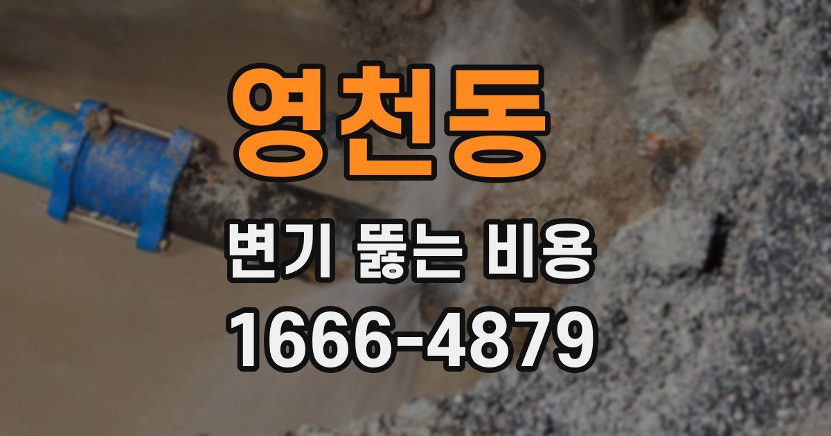 영천동 변기 뚫는 비용