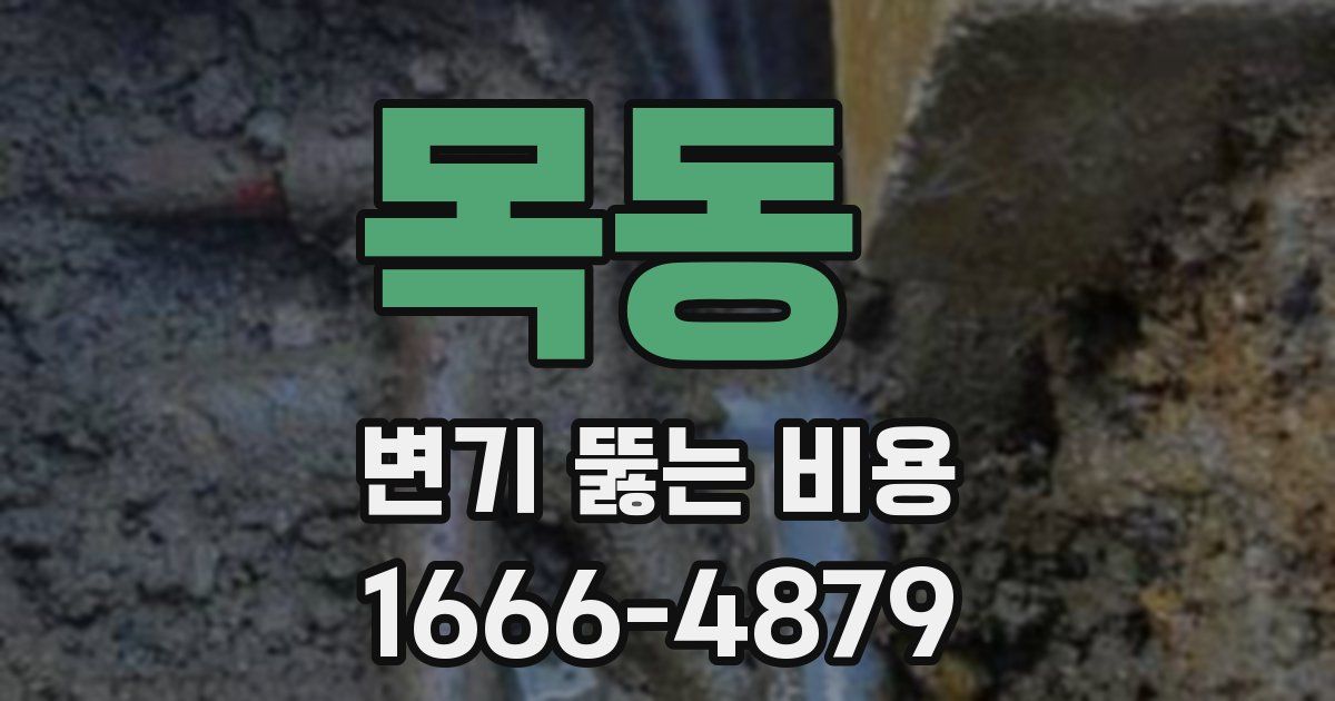 목동 변기 뚫는 비용