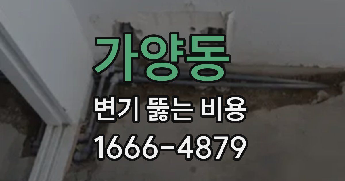 가양동 변기 뚫는 비용